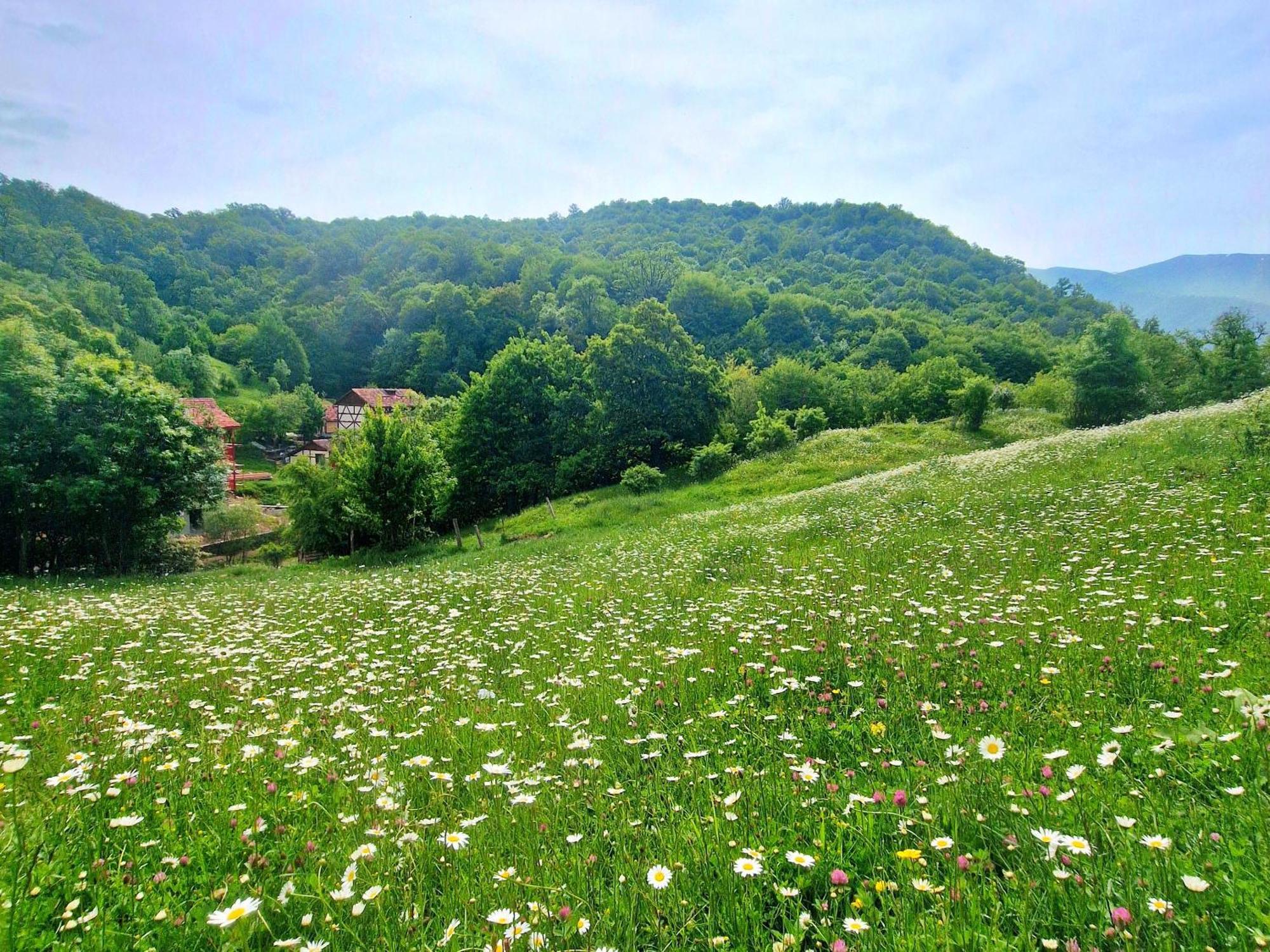 Ecokayan Dilijan Resort Hotel Exterior foto